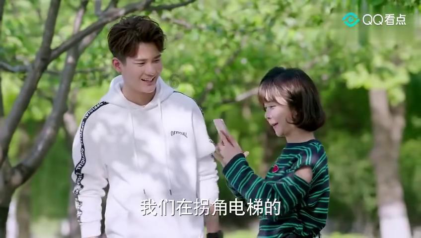 救援贪玩的大象